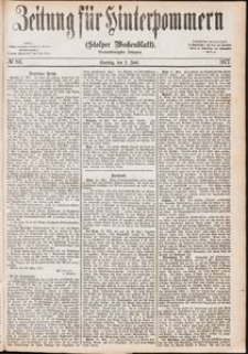 Zeitung für Hinterpommern (Stolper Wochenblatt) Nr. 86/1877