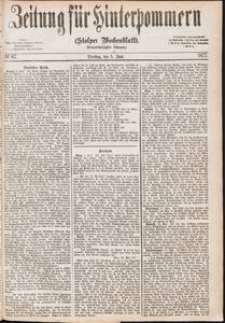 Zeitung f&uuml;r Hinterpommern (Stolper Wochenblatt) Nr. 87/1877
