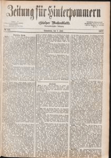 Zeitung für Hinterpommern (Stolper Wochenblatt) Nr. 89/1877