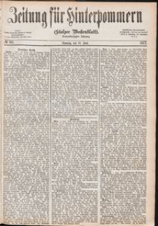 Zeitung für Hinterpommern (Stolper Wochenblatt) Nr. 90/1877