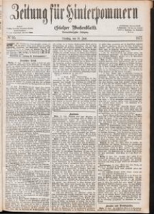Zeitung für Hinterpommern (Stolper Wochenblatt) Nr. 95/1877