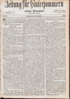 Zeitung für Hinterpommern (Stolper Wochenblatt) Nr. 153/1877