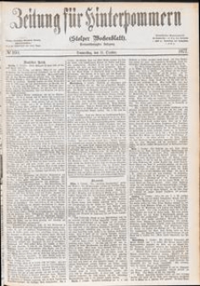 Zeitung für Hinterpommern (Stolper Wochenblatt) Nr. 160/1877