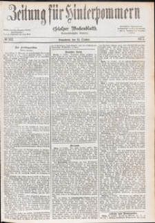 Zeitung für Hinterpommern (Stolper Wochenblatt) Nr. 161/1877