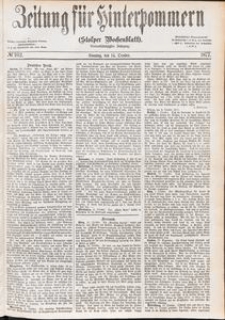 Zeitung für Hinterpommern (Stolper Wochenblatt) Nr. 162/1877
