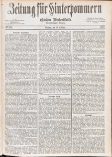 Zeitung für Hinterpommern (Stolper Wochenblatt) Nr. 163/1877