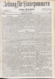 Zeitung für Hinterpommern (Stolper Wochenblatt) Nr. 164/1877