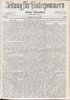 Zeitung für Hinterpommern (Stolper Wochenblatt) Nr. 165/1877