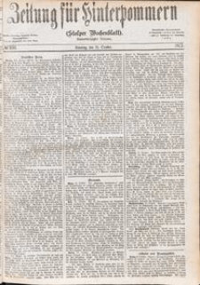 Zeitung f&uuml;r Hinterpommern (Stolper Wochenblatt) Nr. 166/1877