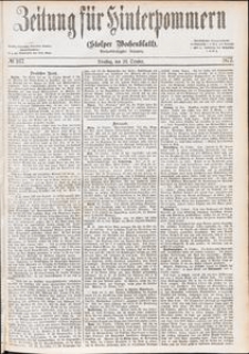Zeitung für Hinterpommern (Stolper Wochenblatt) Nr. 167/1877