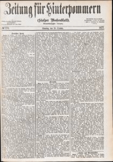Zeitung für Hinterpommern (Stolper Wochenblatt) Nr. 170/1877