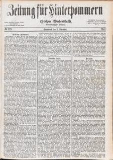Zeitung für Hinterpommern (Stolper Wochenblatt) Nr. 173/1877