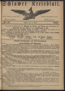 Kreisblatt des Schlawer Kreises 1882 No 20