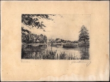 [Grafika] Neustettin