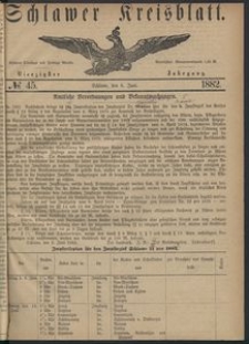 Kreisblatt des Schlawer Kreises 1882 No 45