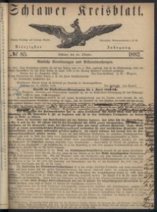Kreisblatt des Schlawer Kreises 1882 No 85