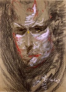 Portret Zana juniora