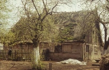 Chałupa zrębowa z XVIII/XIX wieku - Parchowo