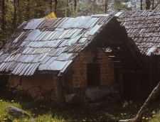 Piec chlebowy z licem wymurowanym z cegły, sklepieniem glinianym i tłem z cegły. Obudowa drewniana pokryta szyndlami - Kobylasz