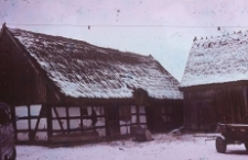 Chlew szkieletowy - Staniszewo