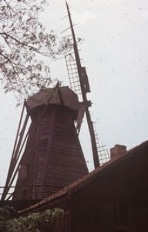 Wiatrak typu holenderskiego - Drewnica