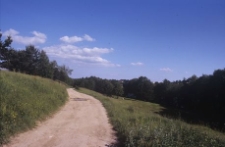 Widok og&oacute;lny. Droga wiejska - Grabowo