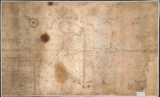 Schema von dem streitigen St&uuml;ck Walde&szlig; [...] L&ouml;senitz und Starcko[w] [...] solche&szlig; den 29. Juny ao. 17[...]