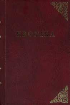 Kronika : Samorządowej Szkoły Podstawowej w Bolszewie 2000-2003
