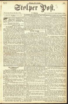 Stolper Post Nr. 255/1893