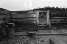 Chata zrębowa - Lipuska Huta [2]