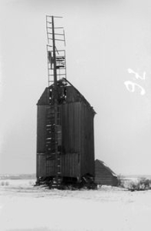 Wiatrak koźlak - Jeżewnica [2]