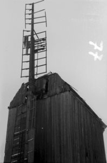 Wiatrak koźlak - Jeżewnica [3]