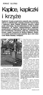 Kaplice, kapliczki i krzyże