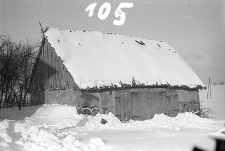 Chlew ryglowy ze stodołą - Klukowa Huta [1]