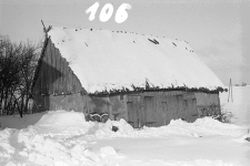 Chlew ryglowy ze stodołą - Klukowa Huta [2]