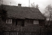 Chata sumikowo-łątkowa - Pog&oacute;dki [2]