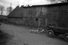 Stodoła ryglowa z chlewem - Nowa Wieś Kartuska