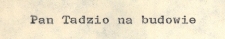 Pan Tadzio na budowie