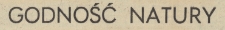 Godność natury