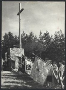 Uroczystości przy Krzyżu - G&oacute;ra Pieszczaty, Bożyszkowy (3)