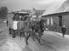 Transporting rural children to school by horse-drawn cart