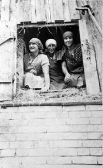 Maria Gliefe i inne kobiety podczas pracy przy zwożeniu siana