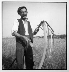 Zbi&oacute;r żyta. Gospodarz ostrzy kosę wyposażoną w grabie ułatwiające układanie pokos&oacute;w