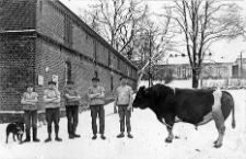 Milchers and bull &lsquo;Archpriest&rsquo; in front of the cowshed in the courtyard of the Redęcin estate