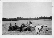 Akcja żniwna. Na zdjęciu m.in. Jadwiga Hein ze służby zdrowia