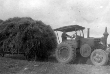 Hay harvesting at a farm in Malecin