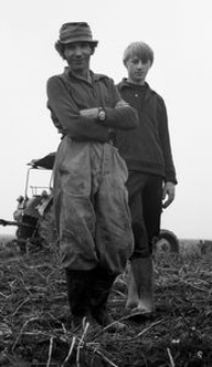 Digging potatoes on the farm of Henryk Cekała (1)