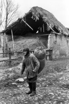 J&oacute;zef W&oacute;jtowicz przenosi siano dla zwierząt