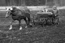 Stanisław Szewczyk with his son Mieczysław at the seed drill
