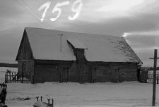 Chlew zrębowy - Wdzydze Kiszewskie [2]